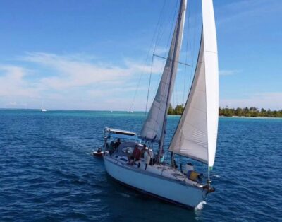 Eco-Sailing (Jeanneau 41)